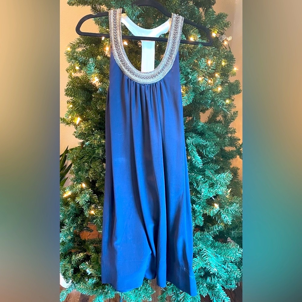 Gorgeous Joie Dress with Beaded Neckline